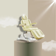 4 Motors Luxury Electric Massage Bed